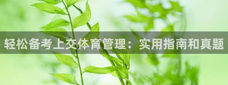 必一体育游戏特色