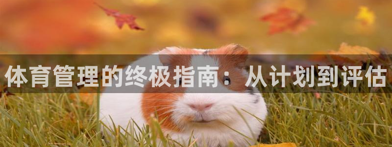 必一体育在线登录