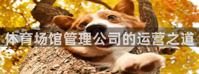 必一体育网页版登录：