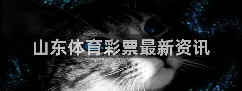 必一体育官方入口：山