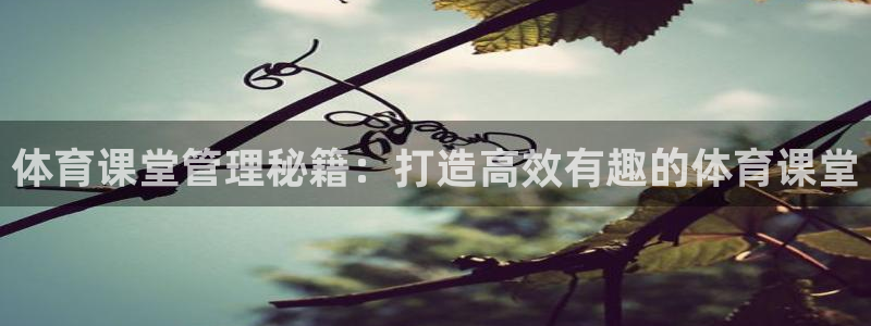 必一运动B-Sport官方网站入口