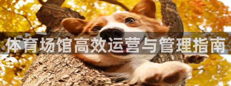 必一体育app下载
