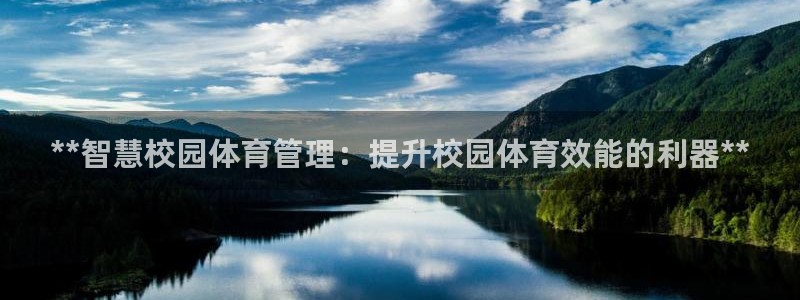 必一体育sport网