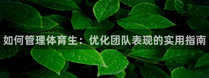 必一体育运动app