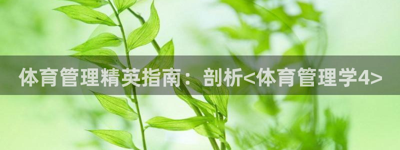 必一体育登录入口APP
