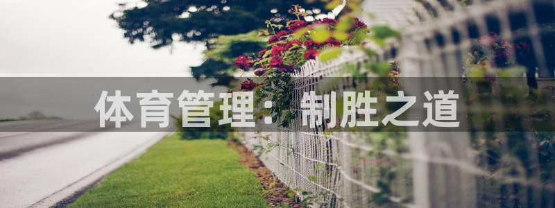 必一体育最新官网入口首页