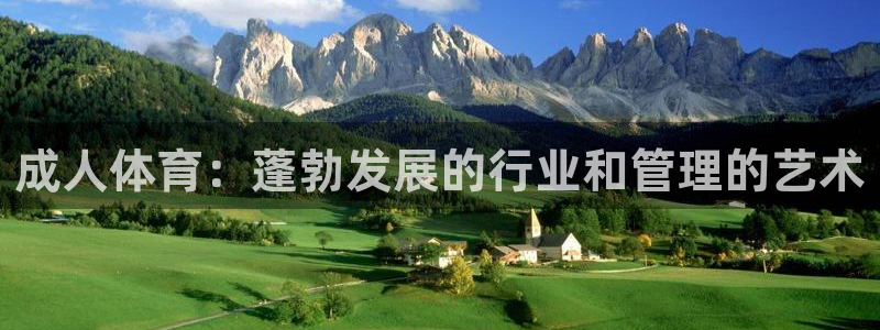 必一体育sport下