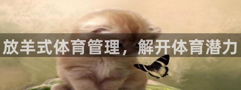 必一体育app下载装