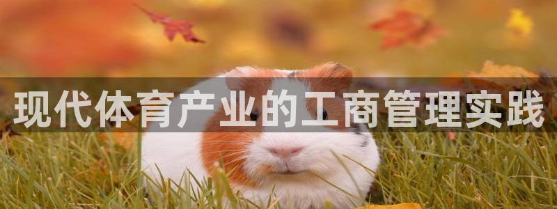 必一体育网页版登录