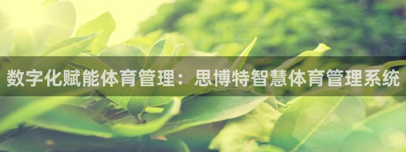 必一体育手机下载