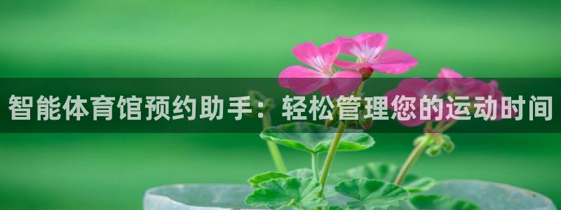 必一体育流水线是什么意思