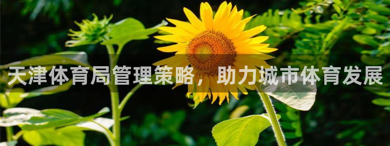 必一体育下载app：