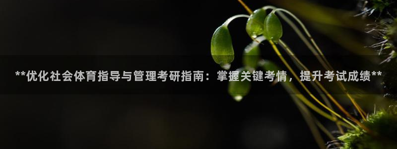 必一体育官网app：