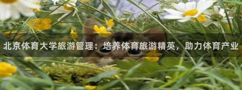 必一体育官网网址