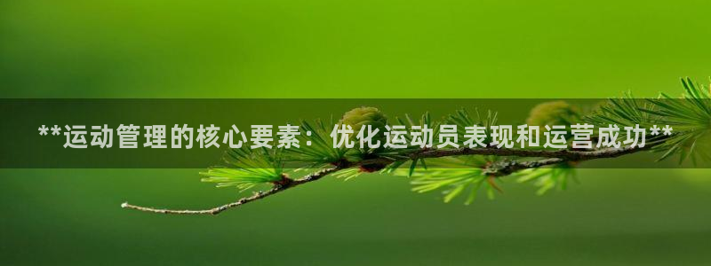 必一运动体：**运动