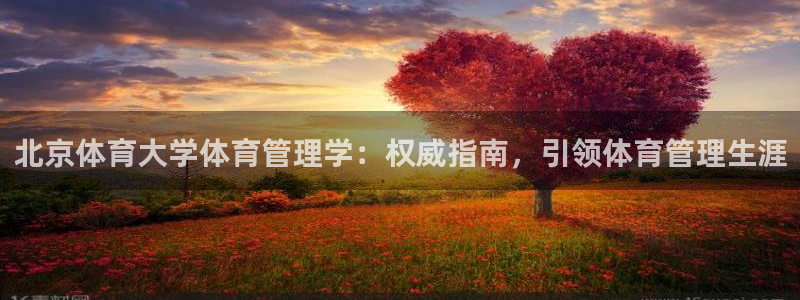 必一体育sport官方网站