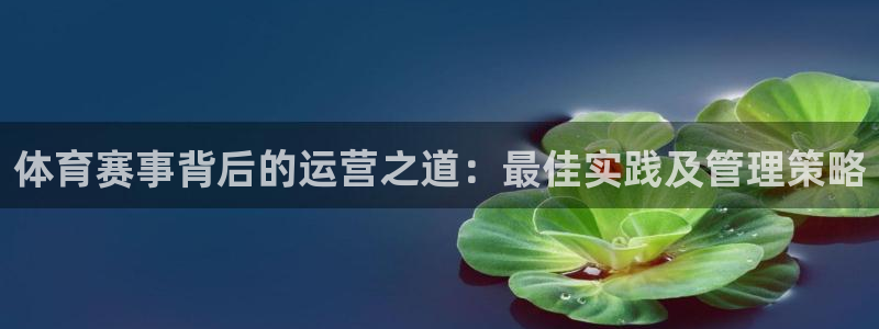 必一体育app下载安