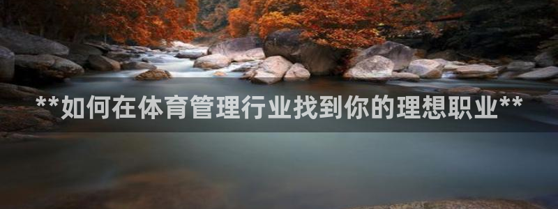 必一运动：**如何在