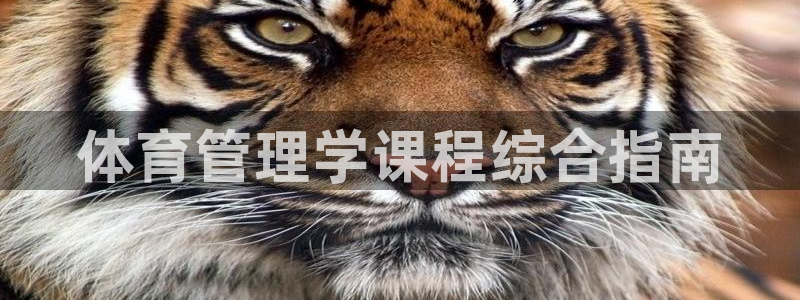 必一运动体育官网下载