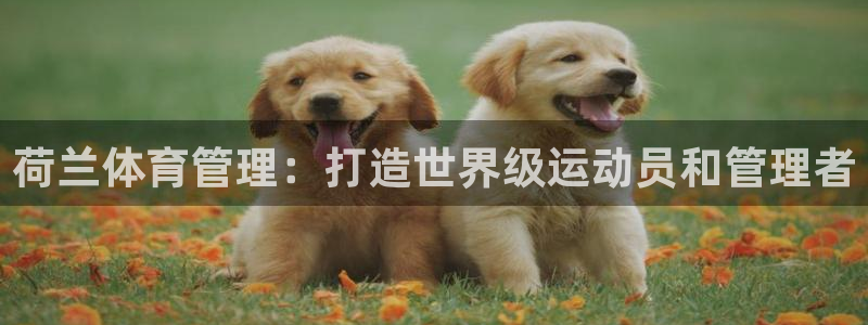 必一体育官方网站入口