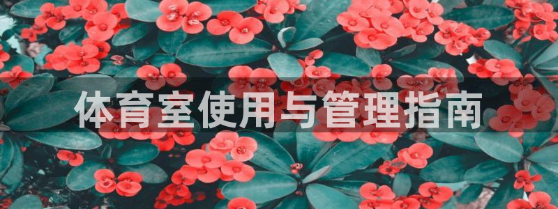 必一运动sport爱
