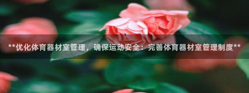 必一体育秀给网：**