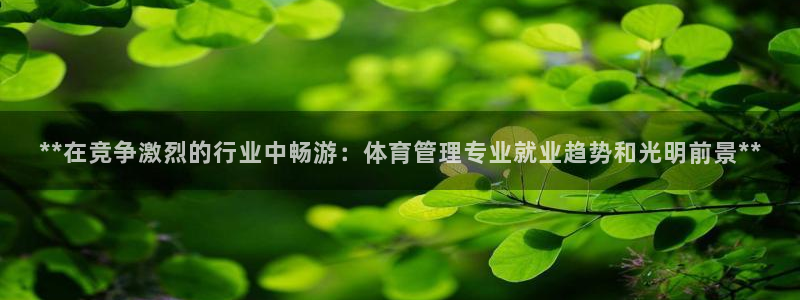必一体育登录APP下