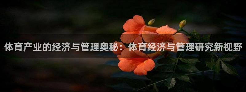 必一体育下载app：