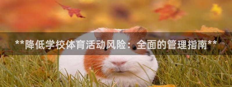 必一运动官网装机吧：