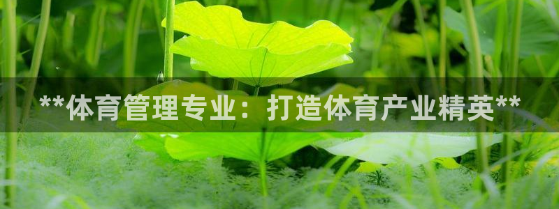 必一体育网页版登录：