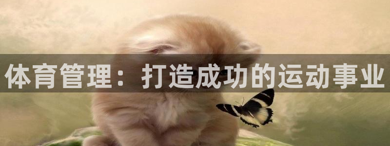 必一体育官网app：
