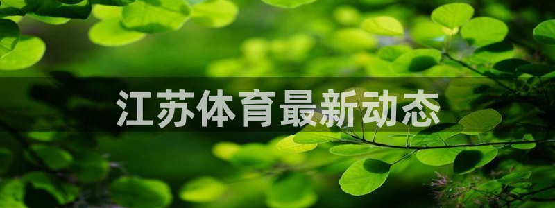 必一体育sport官网