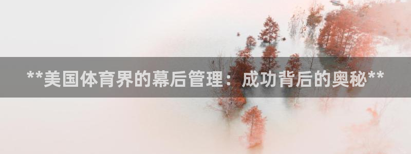 必一运动 b 体育素描版