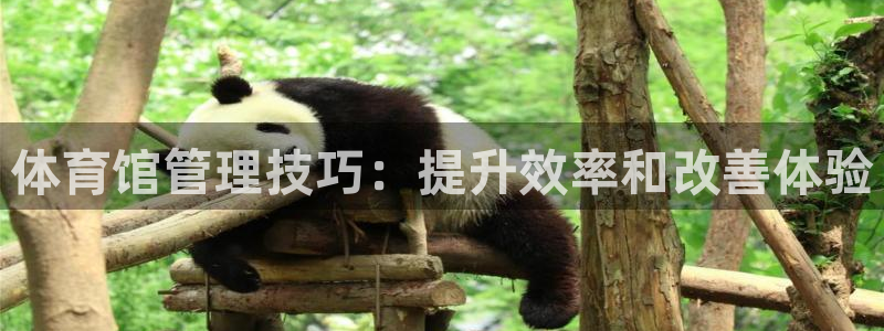 必一体育全站在线登录入口