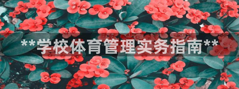 必一体育是哪里的台子