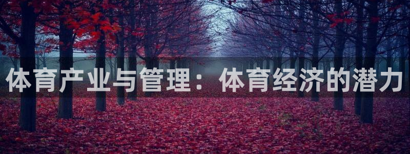 必一运动听的歌