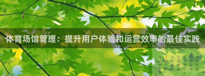必一体育app下载最