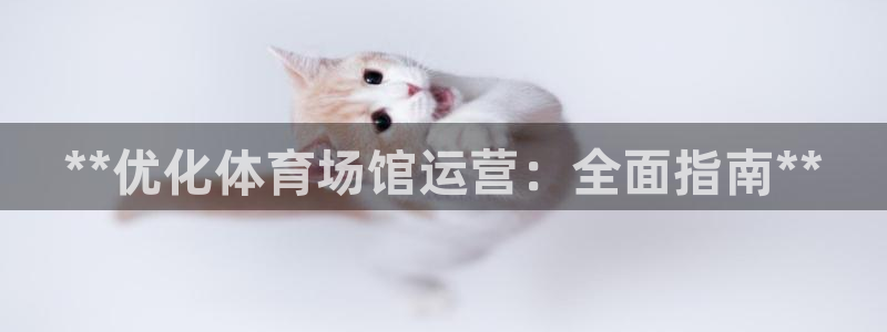必一运动B-Spor