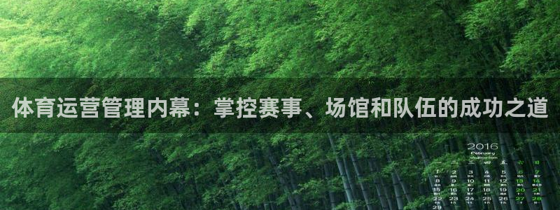 必一体育游戏特色