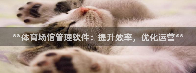 必一体育下载登入：*