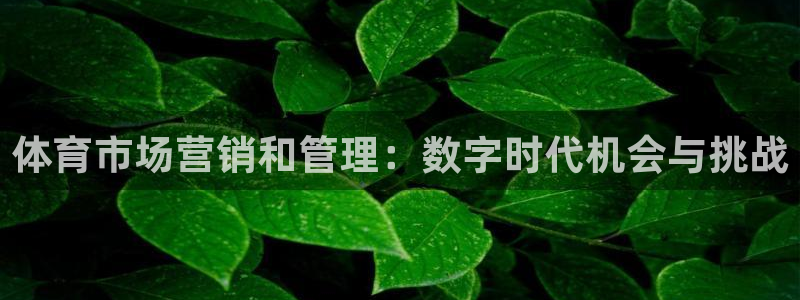 必一体育黑平台：体育