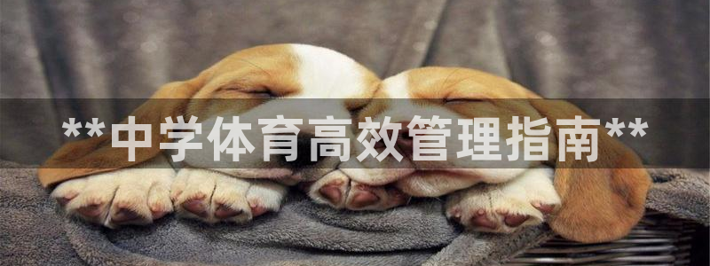 必一体育在线下载