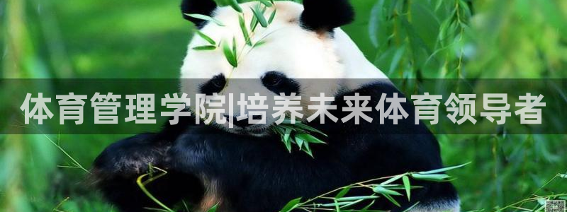 必一运动听的歌