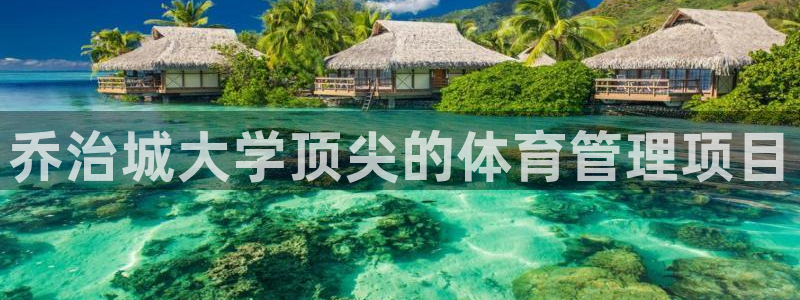 必一体育网页登录版官
