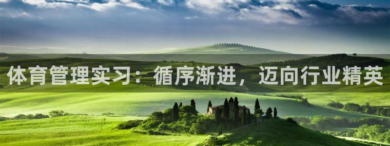 必一体育下载义：体育