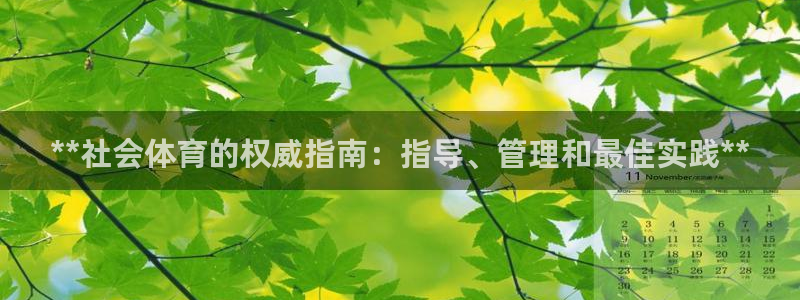 必一体育sport下