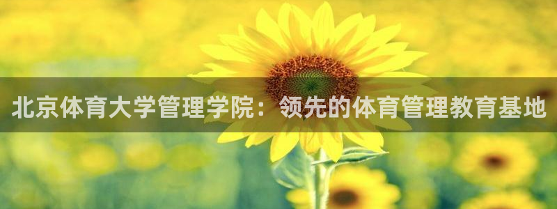 必一体育下载秀给网：