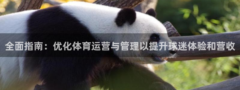 必一体育官网网站：全