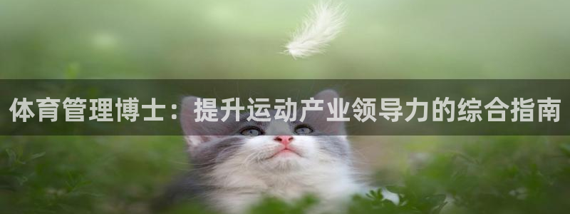 必一体育app下载装