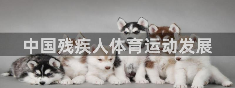 必一体育官网网站：中